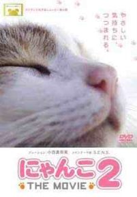 猫咪物语